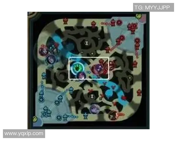 WE在精英赛中的耐力表现分析与战术探讨